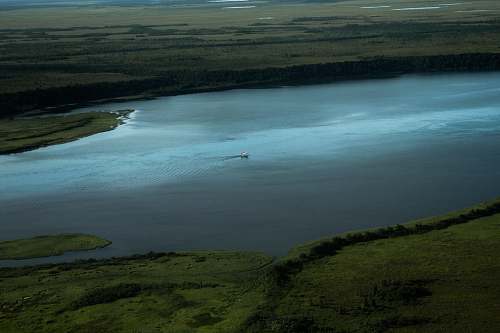 water aerial photography of body of water surrounded by trees king salmon